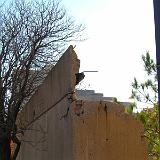 Picture 016